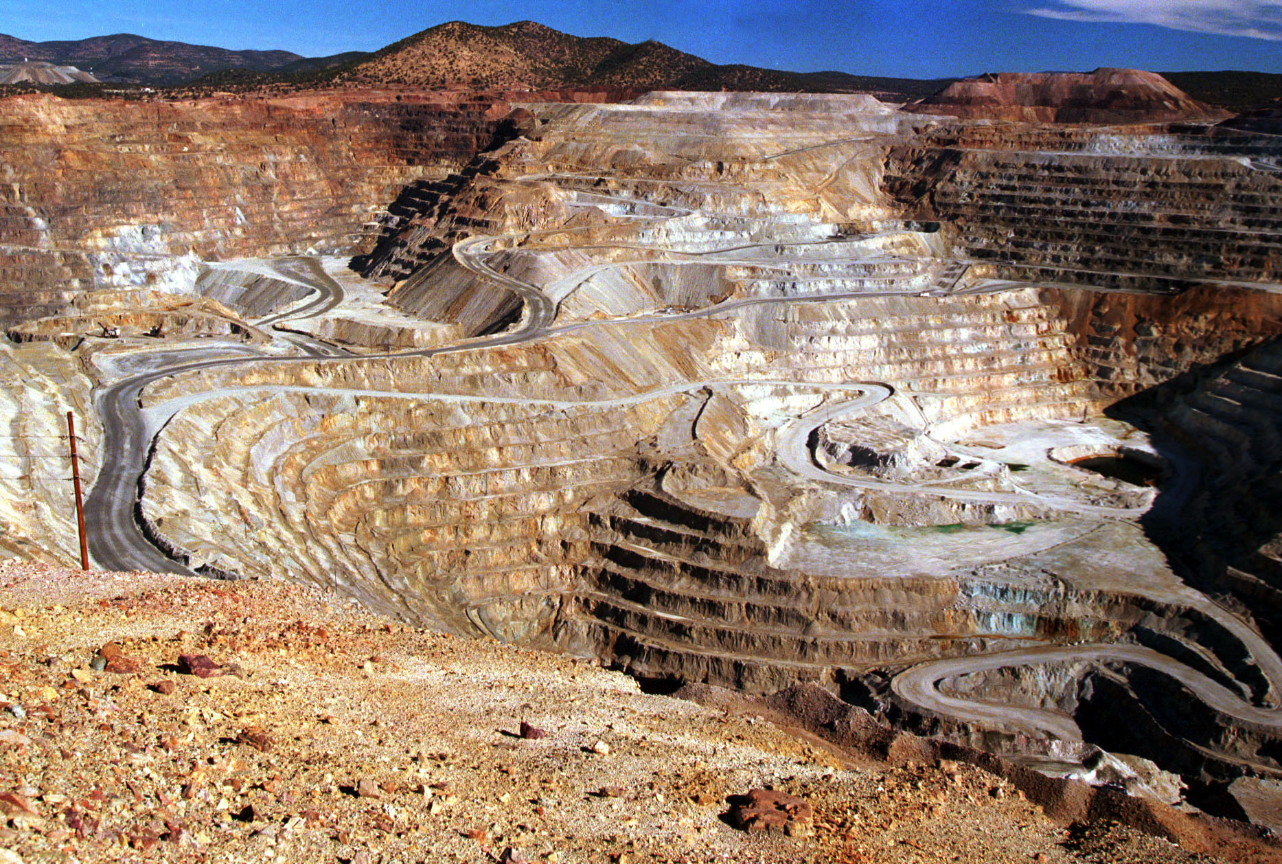 Business and biodiversity offset